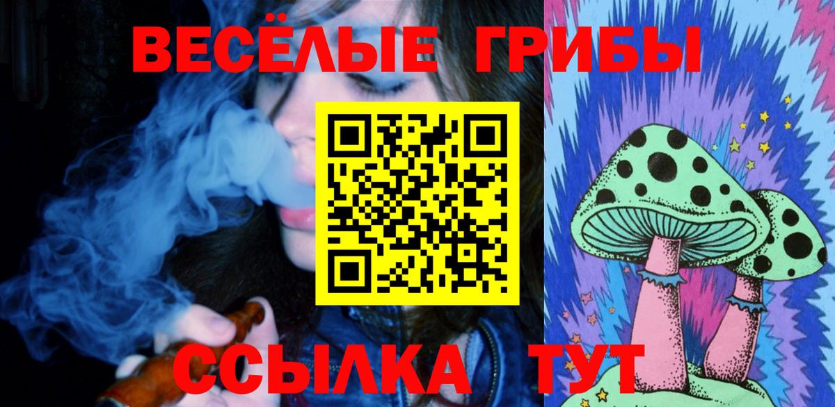 Псилоцибиновые грибы Psilocybe  Вход с VPN  Апрелевка  Псилоцибиновые грибы мухоморы 